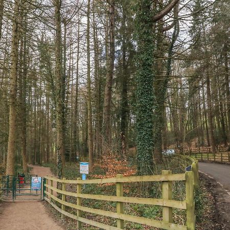 Chestnut Cottage Sheffield Zewnętrze zdjęcie