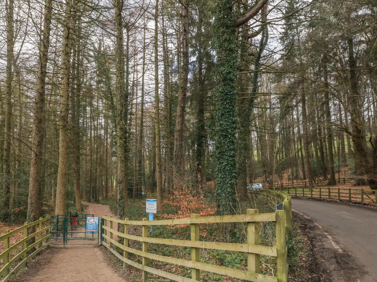 Chestnut Cottage Sheffield Zewnętrze zdjęcie